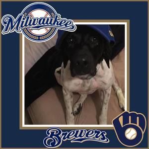 Meet your Posher, Ben